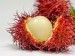 rambutan